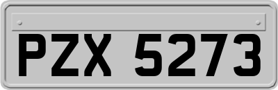 PZX5273