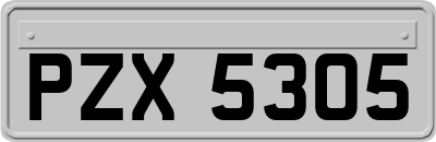 PZX5305