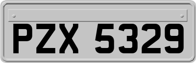 PZX5329