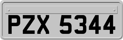 PZX5344