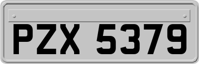 PZX5379