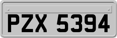 PZX5394