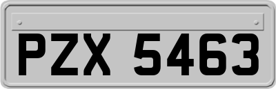 PZX5463