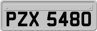 PZX5480