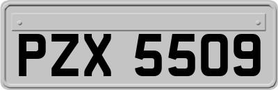 PZX5509