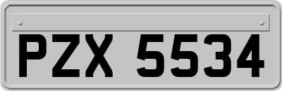 PZX5534