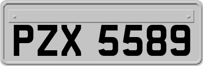PZX5589