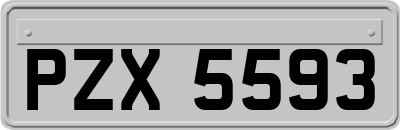 PZX5593