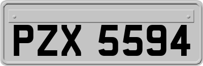 PZX5594