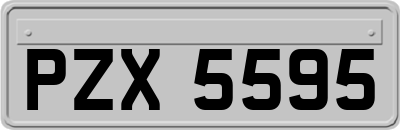 PZX5595