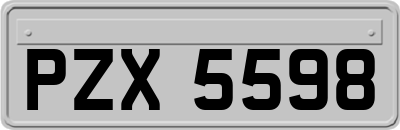 PZX5598