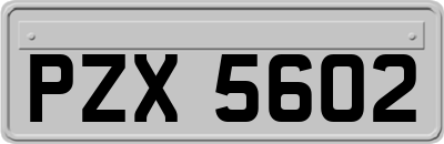 PZX5602