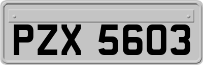 PZX5603