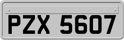 PZX5607
