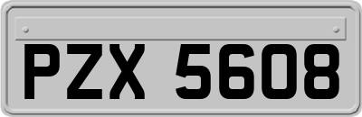 PZX5608