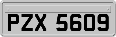 PZX5609