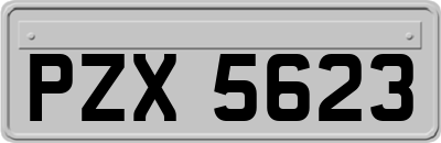 PZX5623
