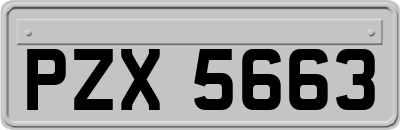 PZX5663