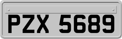 PZX5689