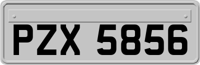 PZX5856