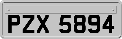 PZX5894