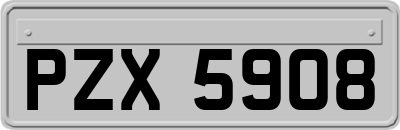 PZX5908