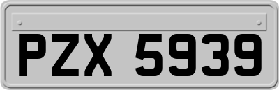 PZX5939