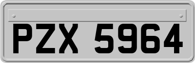 PZX5964