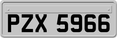 PZX5966
