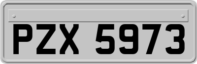 PZX5973