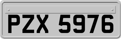 PZX5976