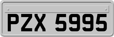 PZX5995