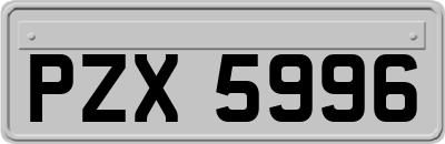 PZX5996