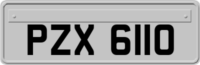 PZX6110