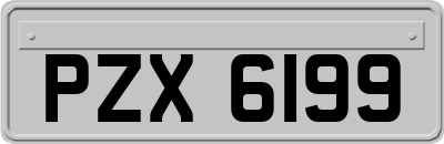 PZX6199