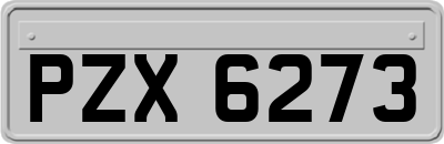 PZX6273