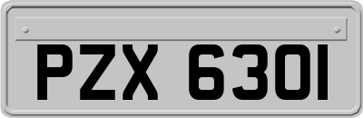 PZX6301