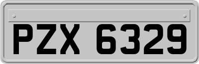 PZX6329