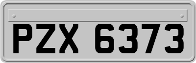 PZX6373