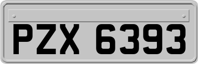 PZX6393