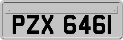 PZX6461