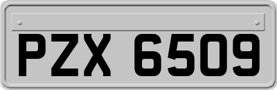 PZX6509