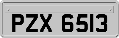 PZX6513