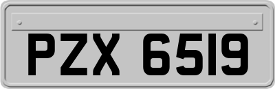 PZX6519