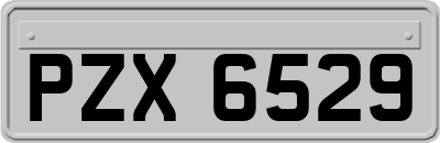 PZX6529