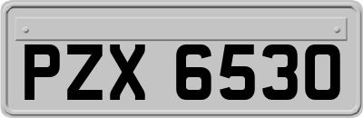 PZX6530