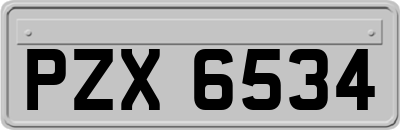 PZX6534