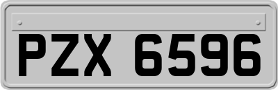 PZX6596