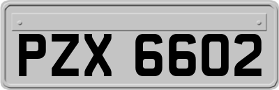 PZX6602