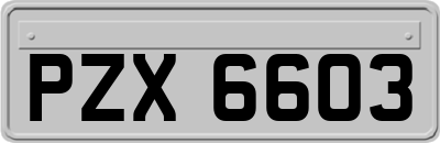 PZX6603